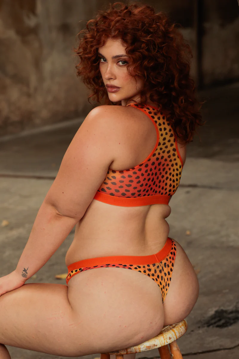 Rolling Alpha Top - Panthera Solis - Image 2