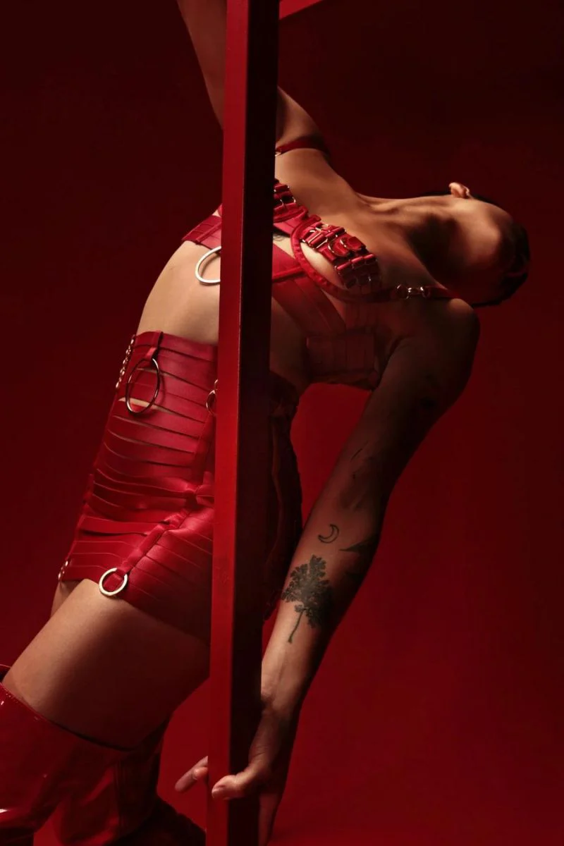Rolling Halo Bralette - Rouge/Gold - Image 3